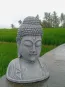 morepic-3